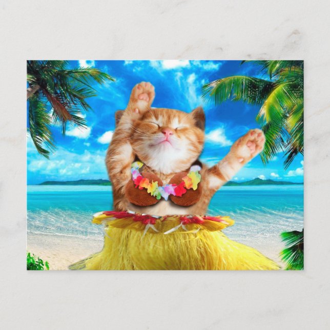 Hawaiianische Tänzerkatze Postkarte (Vorderseite)