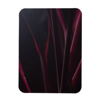 Hawaiianische Ti-Pflanze Magnet