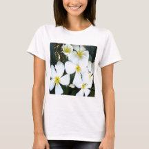 Hawaiianische tropische Blume