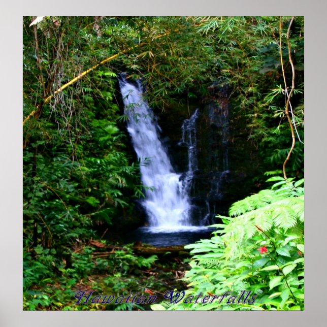 Hawaiianische Wasserfälle Poster (Vorne)
