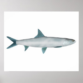 Hawaiianischer Fisch Poster
