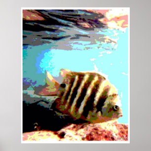 Hawaiianischer Fisch Poster