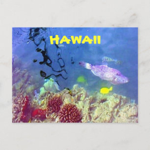 Hawaiianischer Fisch Postkarte