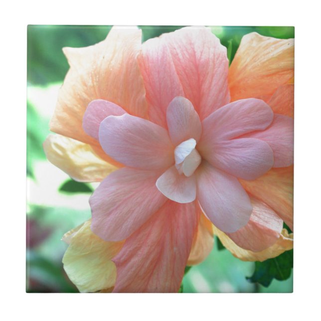 Hawaiianischer Hibiskus Blume Foto Fliese (Vorderseite)