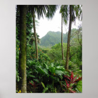 Hawaiianischer Regenwald