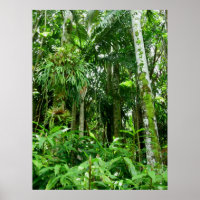 Hawaiianischer Regenwald