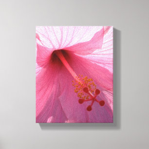 Hawaiianischer rosa Hibiskus Fine Art Foto Leinwanddruck
