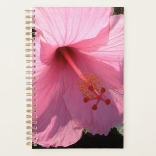 Hawaiianischer rosa Hibiskus Fine Art Foto Planer