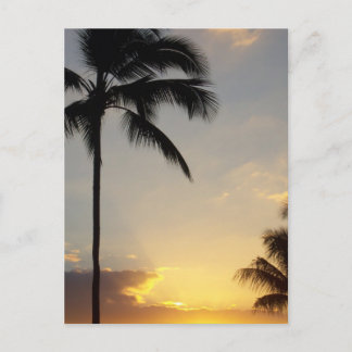 Hawaiianischer Sonnenaufgang Postkarte