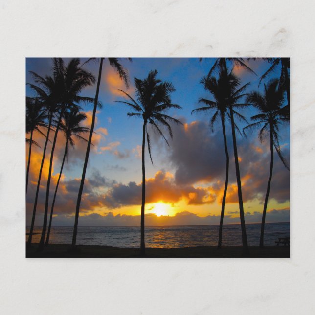 Hawaiianischer Sonnenaufgang Postkarte (Vorderseite)