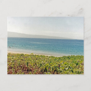 Hawaiianischer Strand I Postkarte