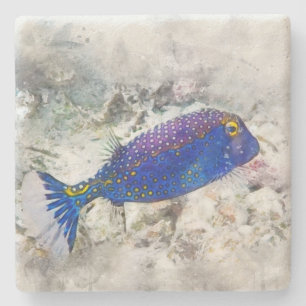 Hawaiianischer Tropischer Fisch - Wasserfarbe Boxf Steinuntersetzer