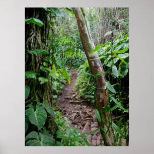 Hawaiianischer Wanderweg Poster