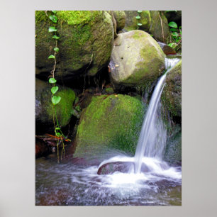 Hawaiianischer Wasserfall Poster