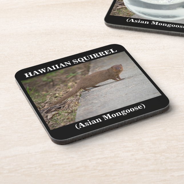 Hawaiianisches Eichhörnchen (asiatische Mongolenar Untersetzer (Linke Seite)