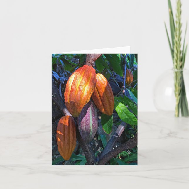 Hawaiianisches Kakao Karte (Vorderseite)