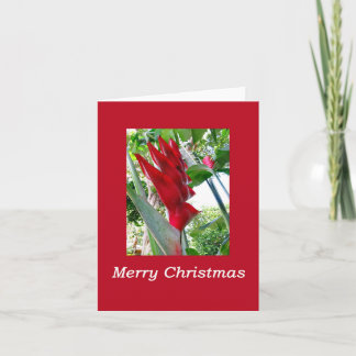 Hawaiianisches Weihnachten Karte