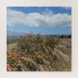 Hawaiianisches Wildblumenfeld Landschaftsfoto