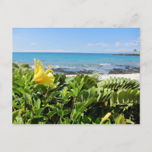 Hawaiianstrand Postkarte