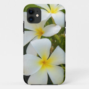 HawaiiPlumeria title_seo2