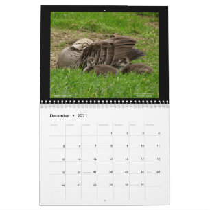 Hawaiis Juwelen 2021 Kalender