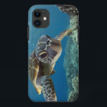 Hawaiische grüne Meeresschildkröte Case-Mate iPhone Hülle<br><div class="desc">Eine hawaiische gree Meeresschildkröte forscht seine Reflexion in meinem Haubenhafen nach. © und ® Bigstock® - alle Rechte vorbehalten.</div>