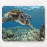 Hawaiische grüne Meeresschildkröte Mousepad<br><div class="desc">Eine hawaiische gree Meeresschildkröte forscht seine Reflexion in meinem Haubenhafen nach. © und ® Bigstock® - alle Rechte vorbehalten.</div>