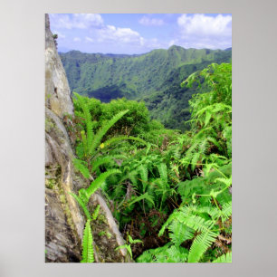 Hawaiische Koolau Berge Poster