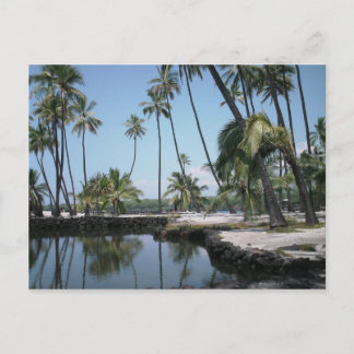 Hawaiische Oase Postkarte