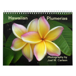 Hawaiische Plumerias Kalender
