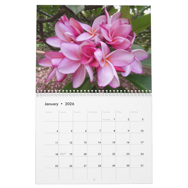 Hawaiische Plumerias Kalender (Jan 2026)