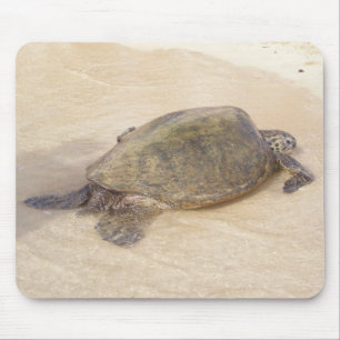 Hawaiische riesige Meeresschildkröte Mousepad