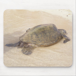 Hawaiische riesige Meeresschildkröte Mousepad