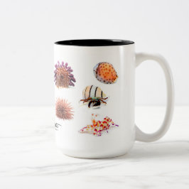 Hawaiische Seegeschöpfe II, Sonderausgabe Zweifarbige Tasse
