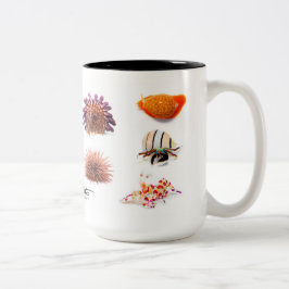 Hawaiische Seegeschöpfe, Sonderausgabe Zweifarbige Tasse