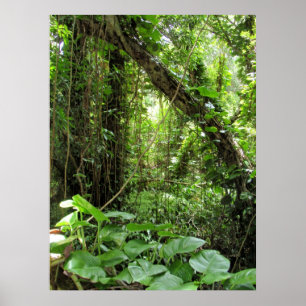 Hawaiischer Dschungel Poster
