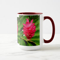 Hawaiischer Ingwer