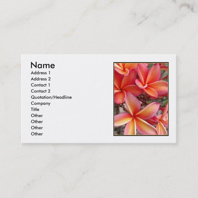 Hawaiischer Plumeria Visitenkarte (Vorderseite)
