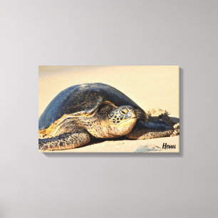 Hawaiischer Seeschildkröte-Leinwand-Druck Leinwanddruck