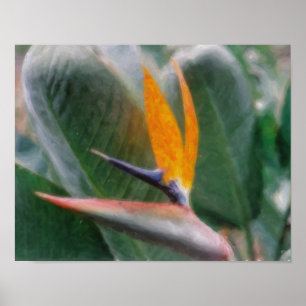Hawaiischer tropischer Paradiesvogel Plakat