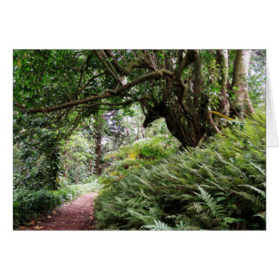 Hawaiischer Wanderweg