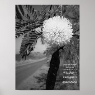 Hawaiisches Blumen-Gedicht-Schwarzweiss-Plakat Poster