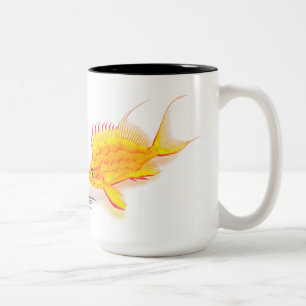 Hawaiisches gelbes Anthias, Holanthias fuscipinnis Zweifarbige Tasse