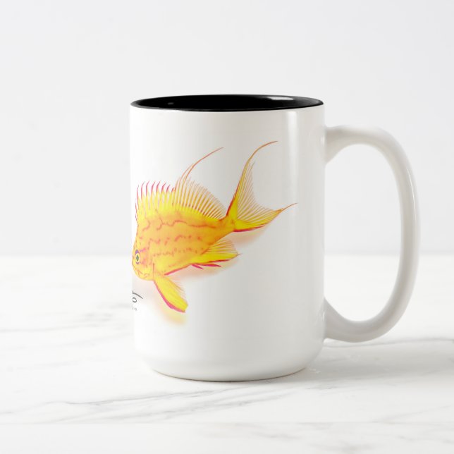 Hawaiisches gelbes Anthias, Holanthias fuscipinnis Zweifarbige Tasse (Rechts)