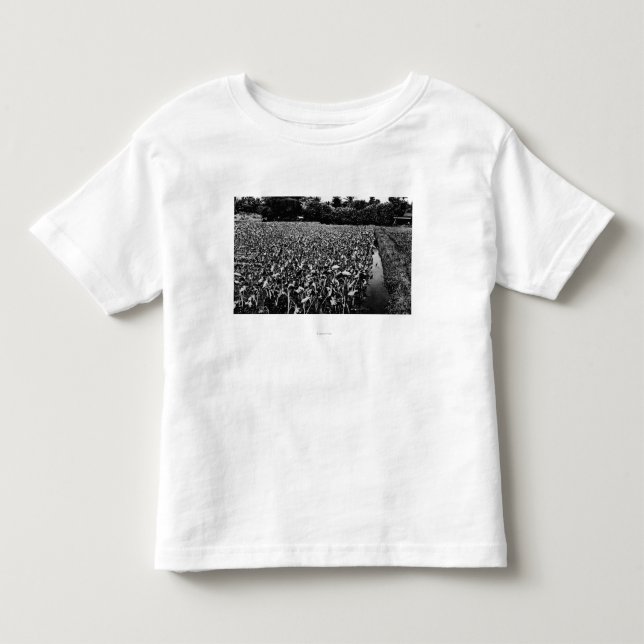 Hawaiisches IslandsTaro Feld PhotographHawaii Kleinkind T-shirt (Vorderseite)