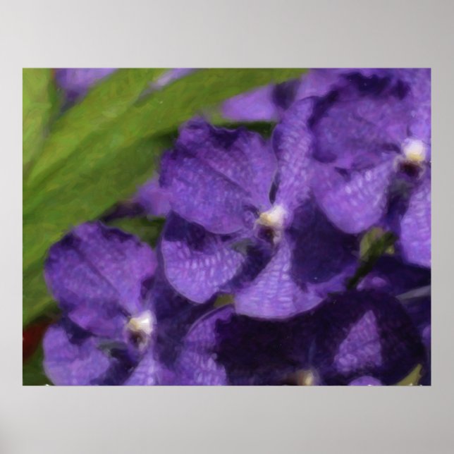 Hawaiisches tropisches Orchideen-Plakat Poster (Vorne)