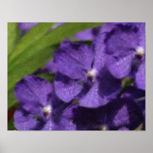 Hawaiisches tropisches Orchideen-Plakat Poster