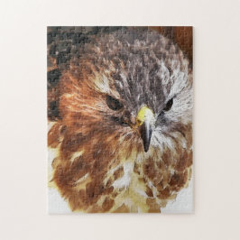 HAWK