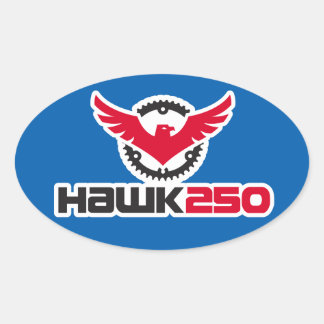 Hawk 250 Logo Oval-Aufkleber mit blauem Hintergrun Ovaler Aufkleber