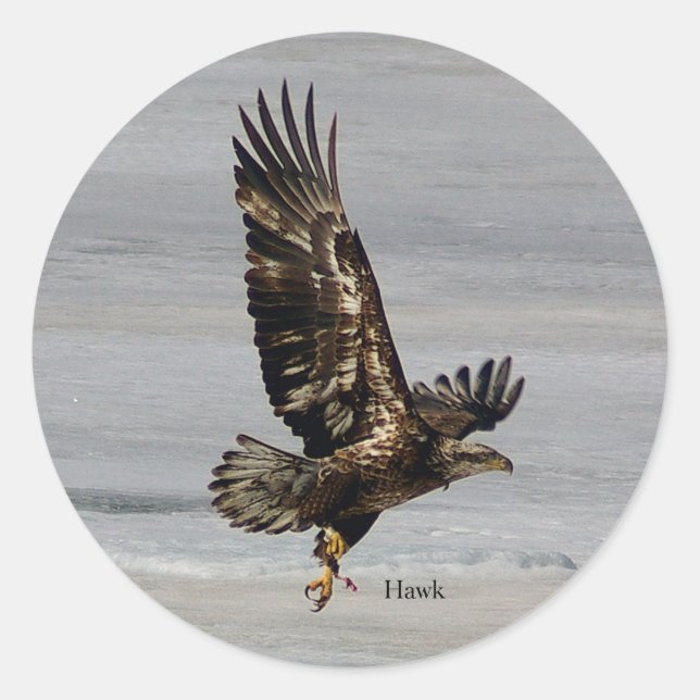 Hawk-Aufkleber Runder Aufkleber (Vorderseite)